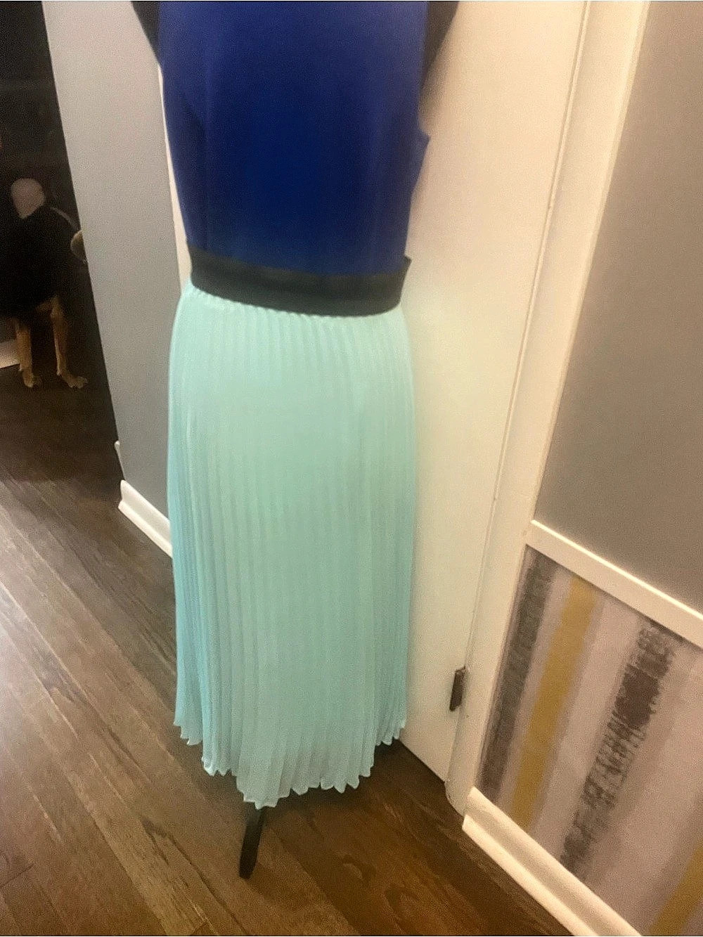 Pleated Midi Skirt in Aqua Size Medium